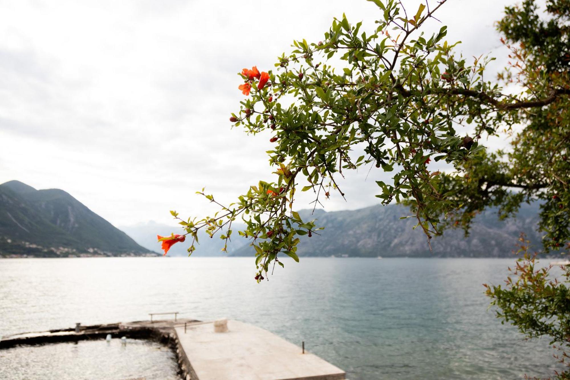 Apartments Djurovic Kotor Exterior photo