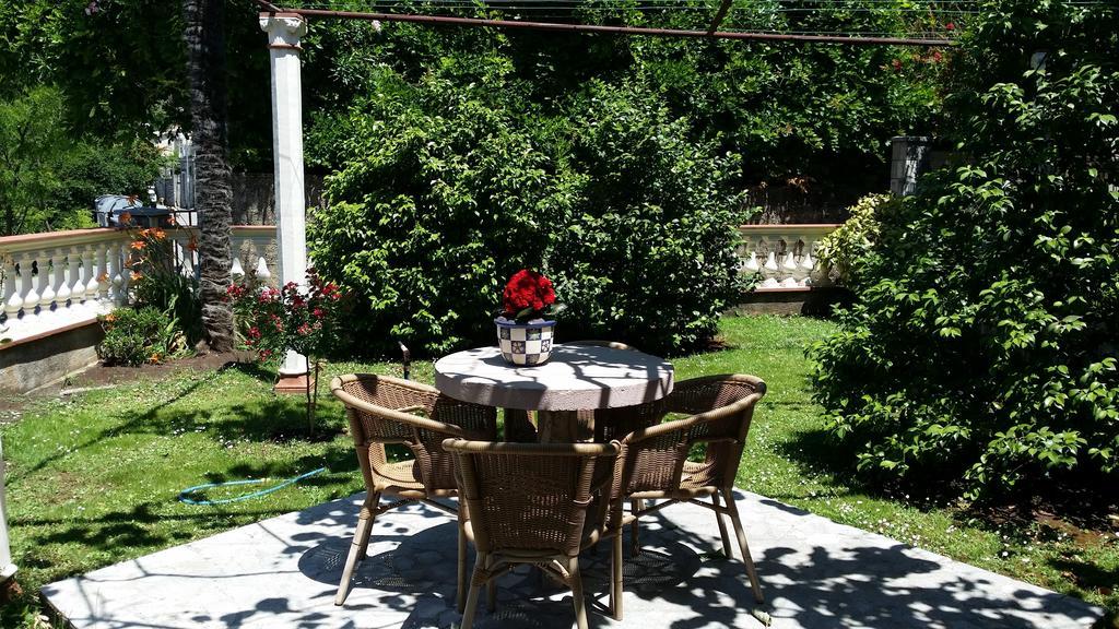 Apartments Djurovic Kotor Exterior photo